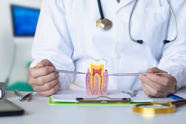 Best Emergency Dental Care for Sports Injuries in Vidalia, GA